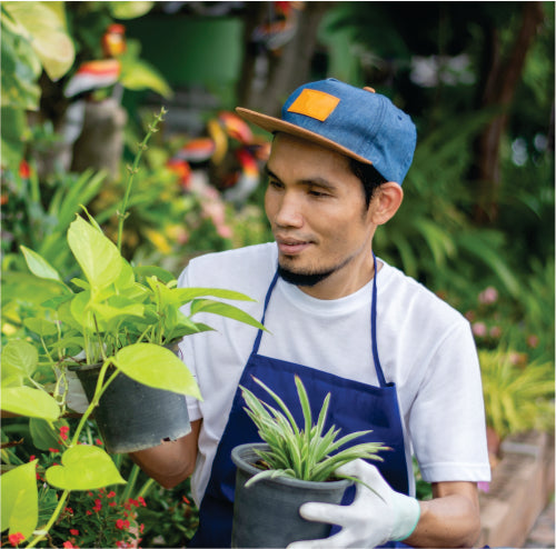 Jardineros y Oficios Varios